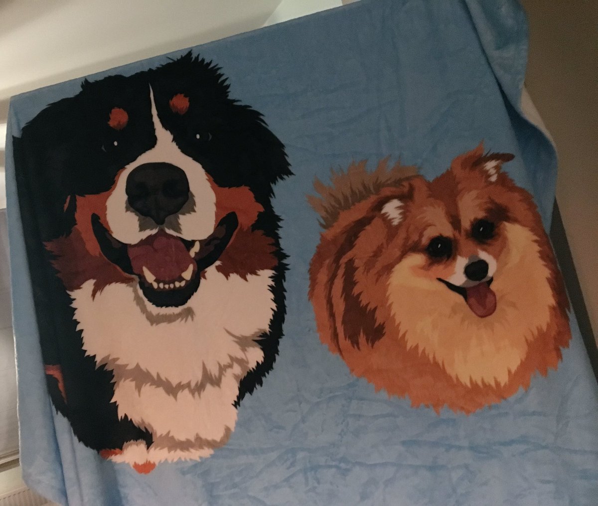 get your dog's face on a blanket
