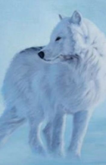 Zack, casper and lucy silverpaw.

• werewolves
•bothers don't get along and sister is more of a stray/wild
•all looking for a pack
•#openrp