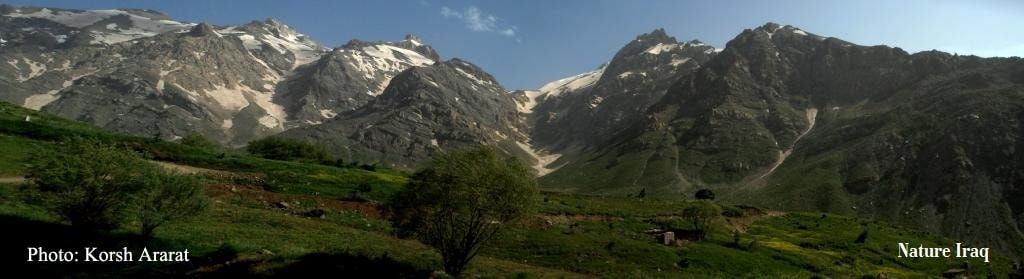 Congrats to #GoldmanPrize winner Azzam Alwash and <a href="/Nature_Iraq/">Nature Iraq</a> on the release of "Key Biodiversity Areas of Iraq” bit.ly/2x2owIz