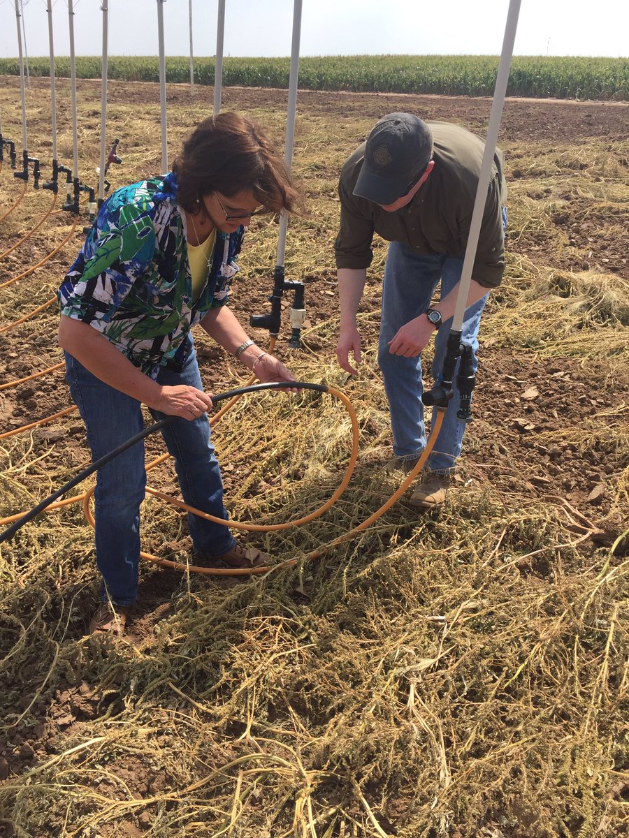 Peter_M_Lake's tweet image. Irrigation technology &amp;amp; techniques are critical to ag in Texas. Lots of both @USDA Bushland.