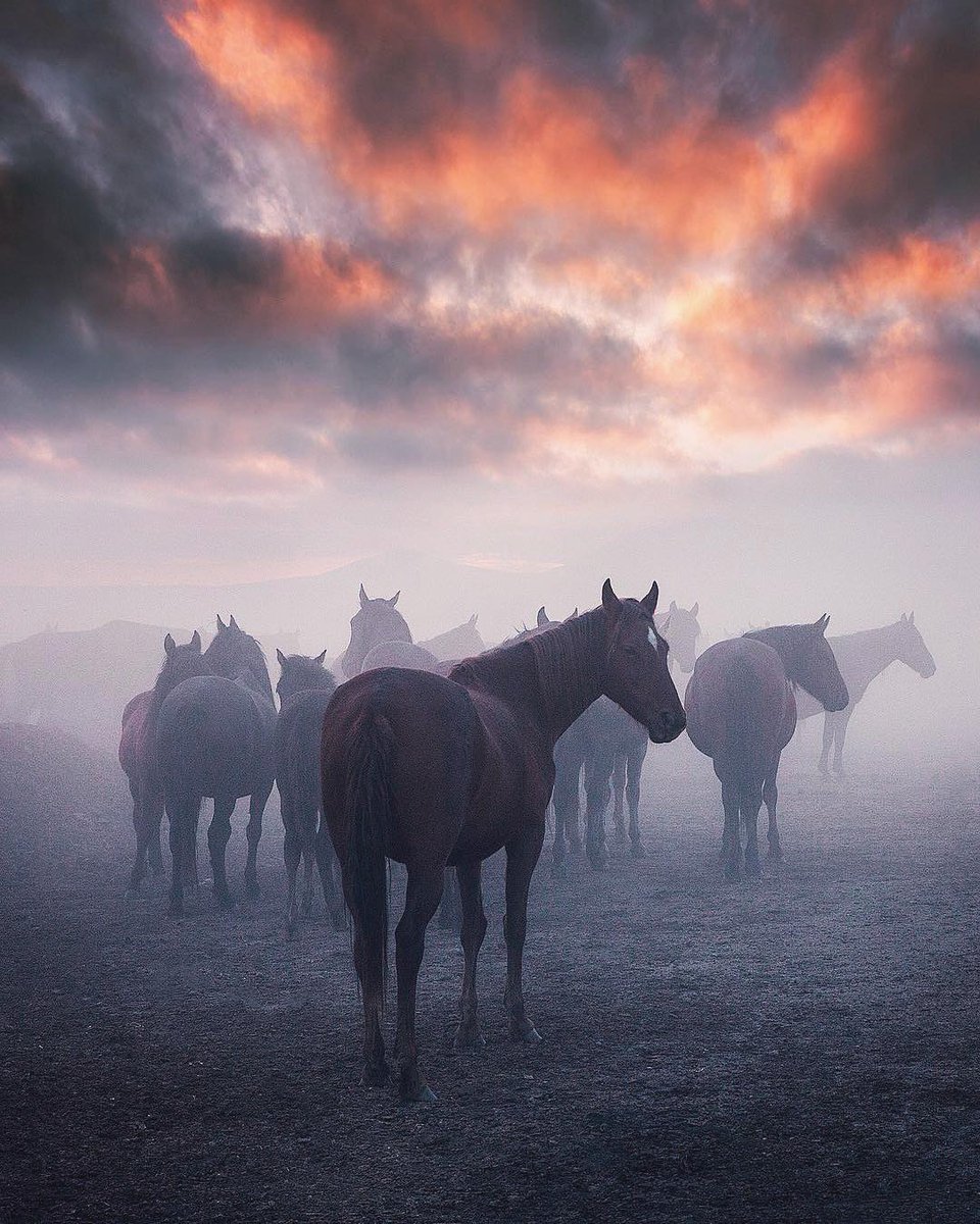 earthescope's tweet photo. Kayseri, Turkey | Photography by Cuma Cevik https://t.co/WZEKvIOHFT