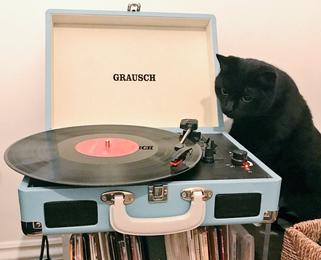 aheyarts's tweet photo. #mariacallas singing #tosca is blowing my cat's mind... #operafan #classicalcat @liquidyzer #classical #operapassion https://t.co/losOYns3nb
