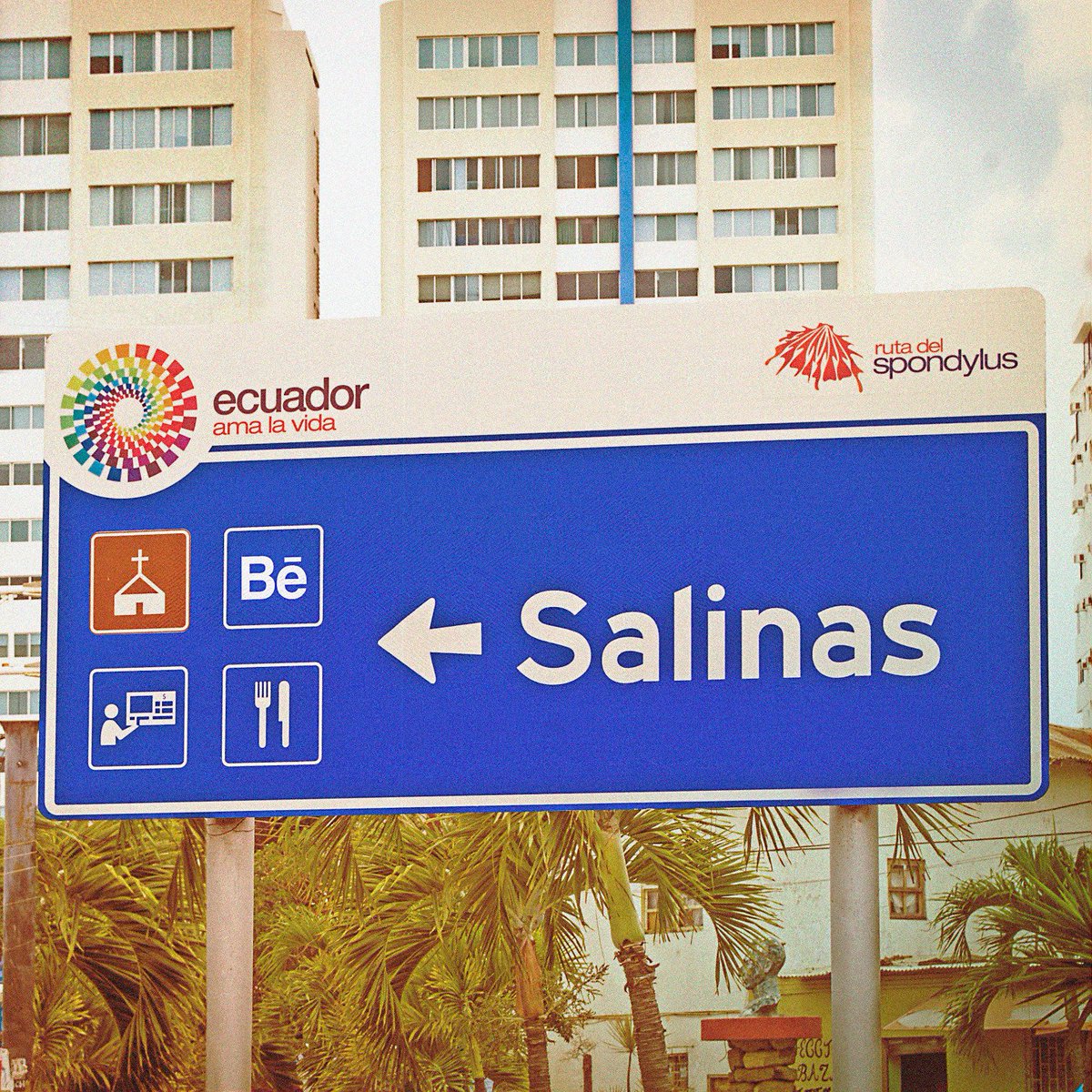 BeSantaElena's tweet photo. Este año no se pierdan lo mejor de la industria creativa nacional en la tercera edición del #BehanceReviewSantaElena!!! https://t.co/H7MaNMKp4N