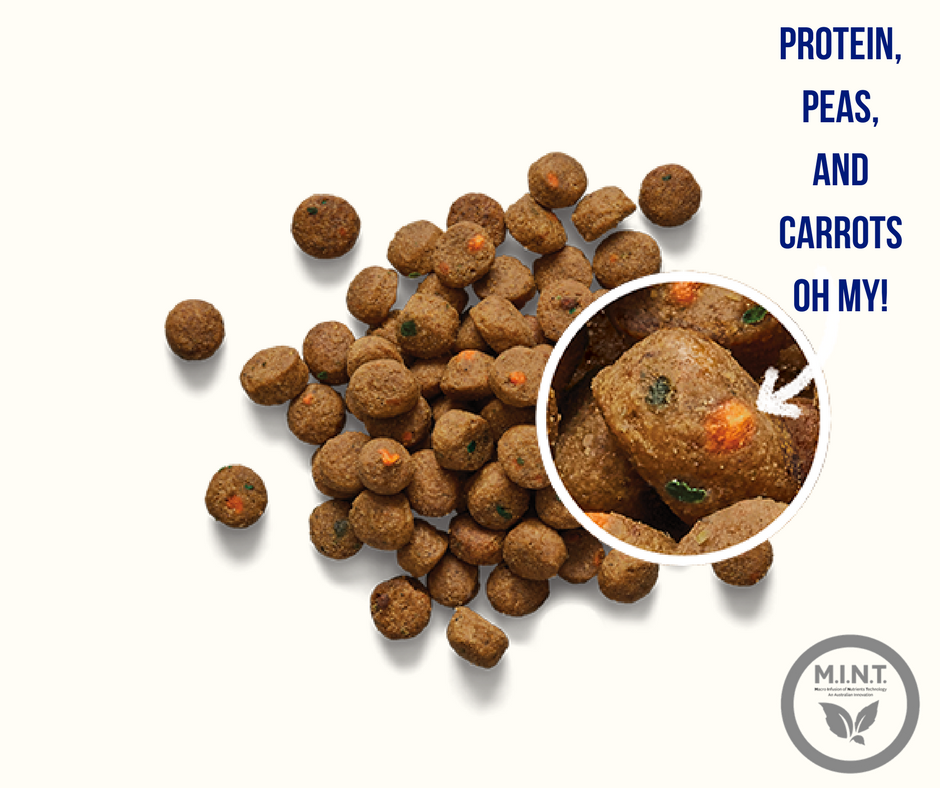 FMPetFoods's tweet photo. Why are Farmers Market kibbles different from the rest? Four letters: M.I.N.T. (Macro Infusion Nutrients Technology) https://t.co/pvSEpEhtZt https://t.co/Nli26PohEz