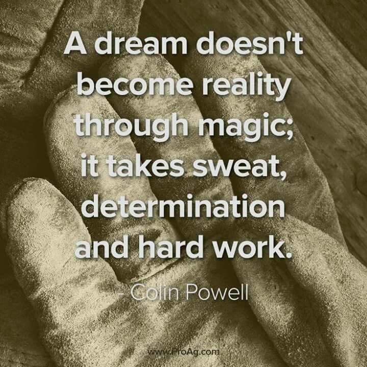SHSPantherSB's tweet photo. Great work today and a lot of sweat #ladypanthers #softball #reachingoals https://t.co/wH8epJfStJ