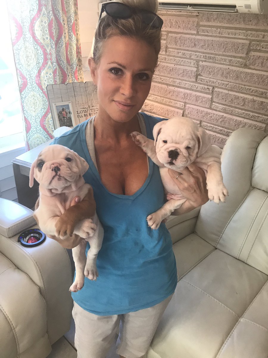 Queen City Bulldogs (Q_C_Bulldogs) Twitter