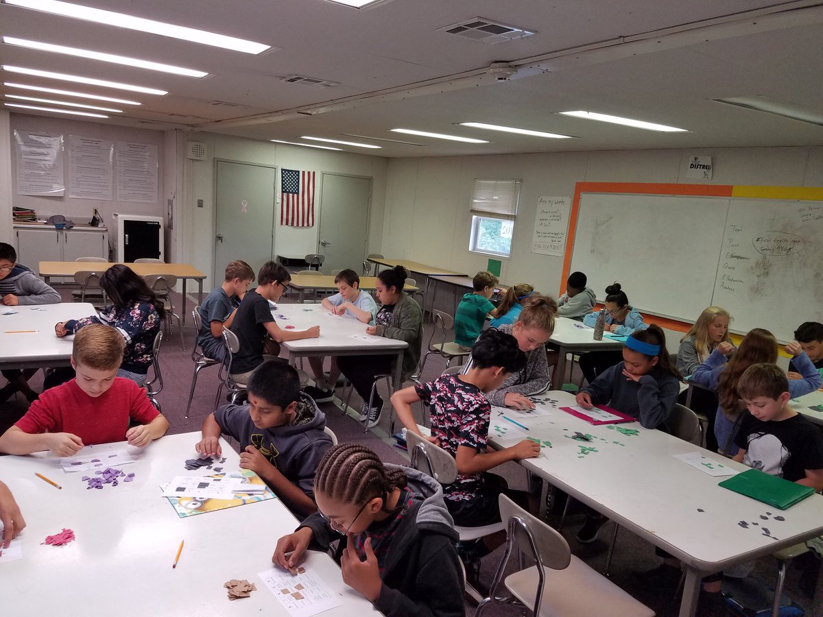 Coach_P17's tweet photo. BINGO quiz review was a success!! #Wearemcdougle https://t.co/Dol37N23j9