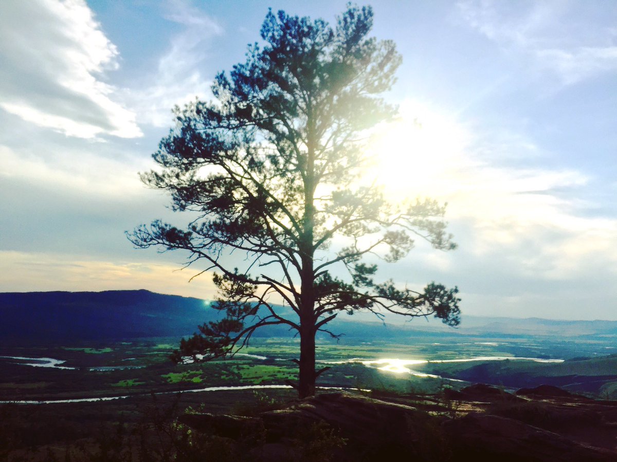 Өглөөний мэнд...