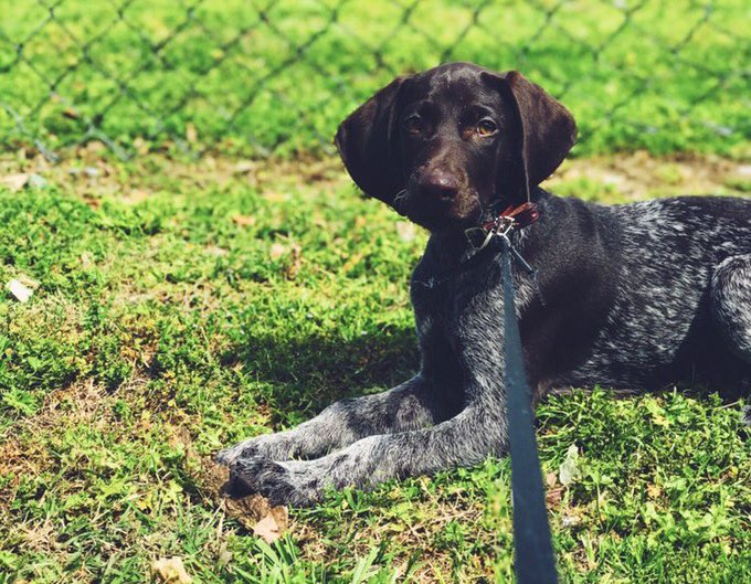 Watch Ally Lotti's leaked NSFW photo on TwXstars