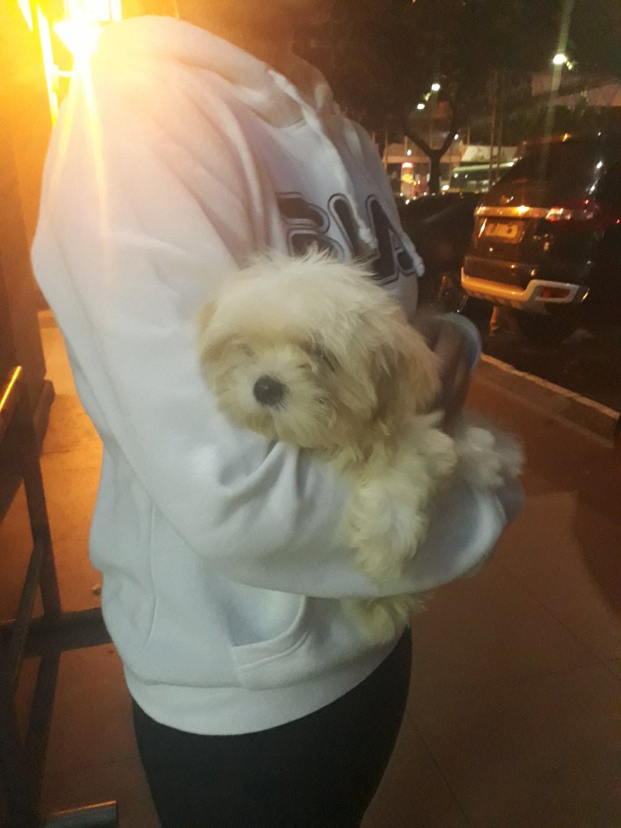 marinaxsummers's tweet photo. Sinamahan ko si Ms Jil bumili ng dog kahapon. #HowCoolIsYourBoss https://t.co/wLQAWjfMfn