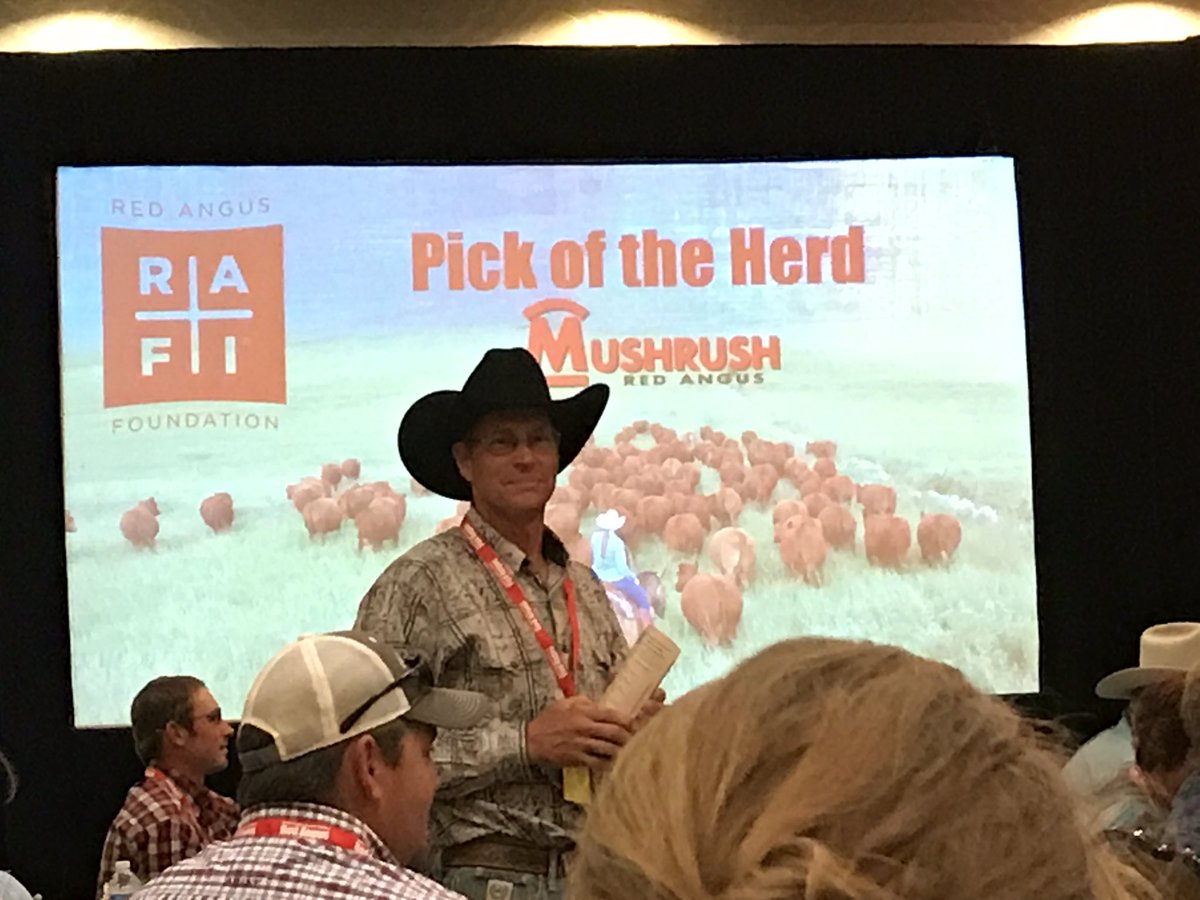 RobSmith_OldsAB's tweet photo. 'Pick of the Herd' from #MushrushRedAngus females, in support of the @RedAngusAmerica Red Angus Foundation sells for $20,000! @CDNAngus https://t.co/BgxK8iYHs0