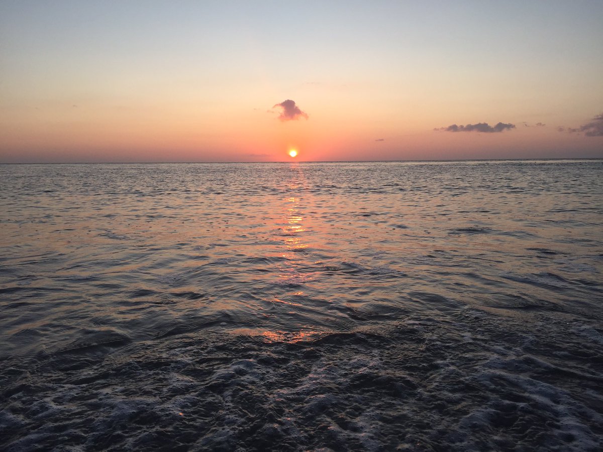 ALittleSchip's tweet photo. Sunset with Cape Bae 🌊 @K_Gallagher8 https://t.co/soQIZWatfA