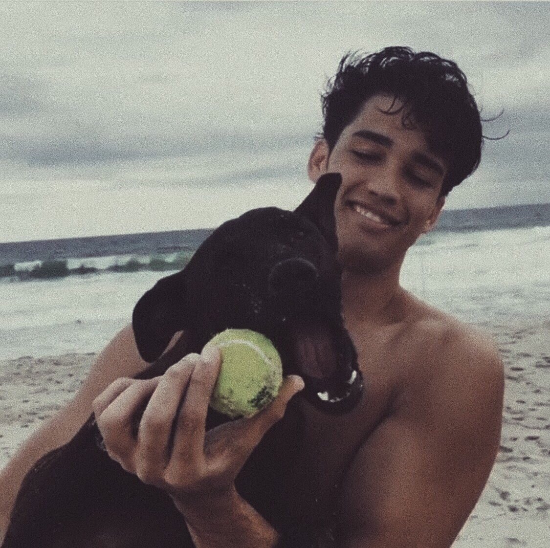wafflesareg00d's tweet photo. meet jet https://t.co/5j0sMrlvic