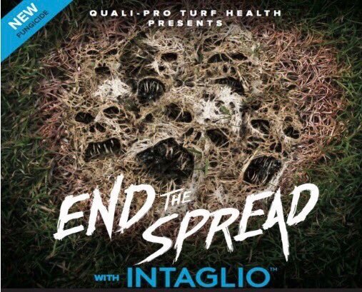 Superintendents are excited about the release of Intaglio after 5 years of field testing. #endthespread