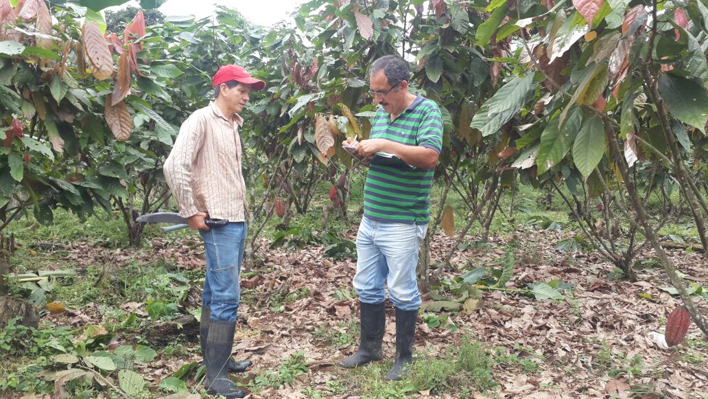 produrios's tweet photo. Gestión Productiva realiza calibración de fincas a un aproximado 60 has. #Babahoyo parroquia #FebresCordero

#JoséGuzmán #Gerente #Produrios https://t.co/pf7vPBEKIl