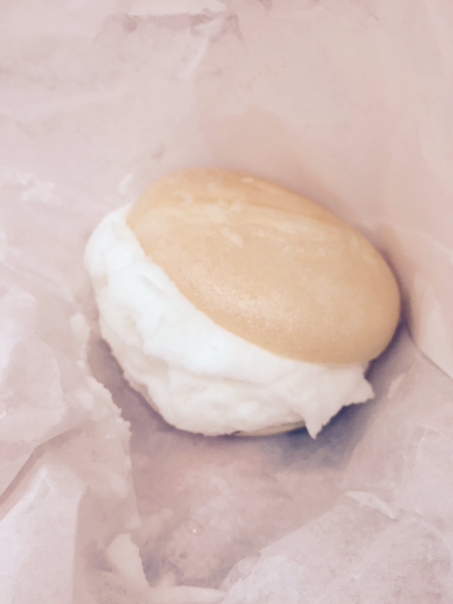 ジョイシティ日本橋店 わーいわーい ホビレジの店長さんがアイスモナカくれた あんこも入っててすごく美味しかったです