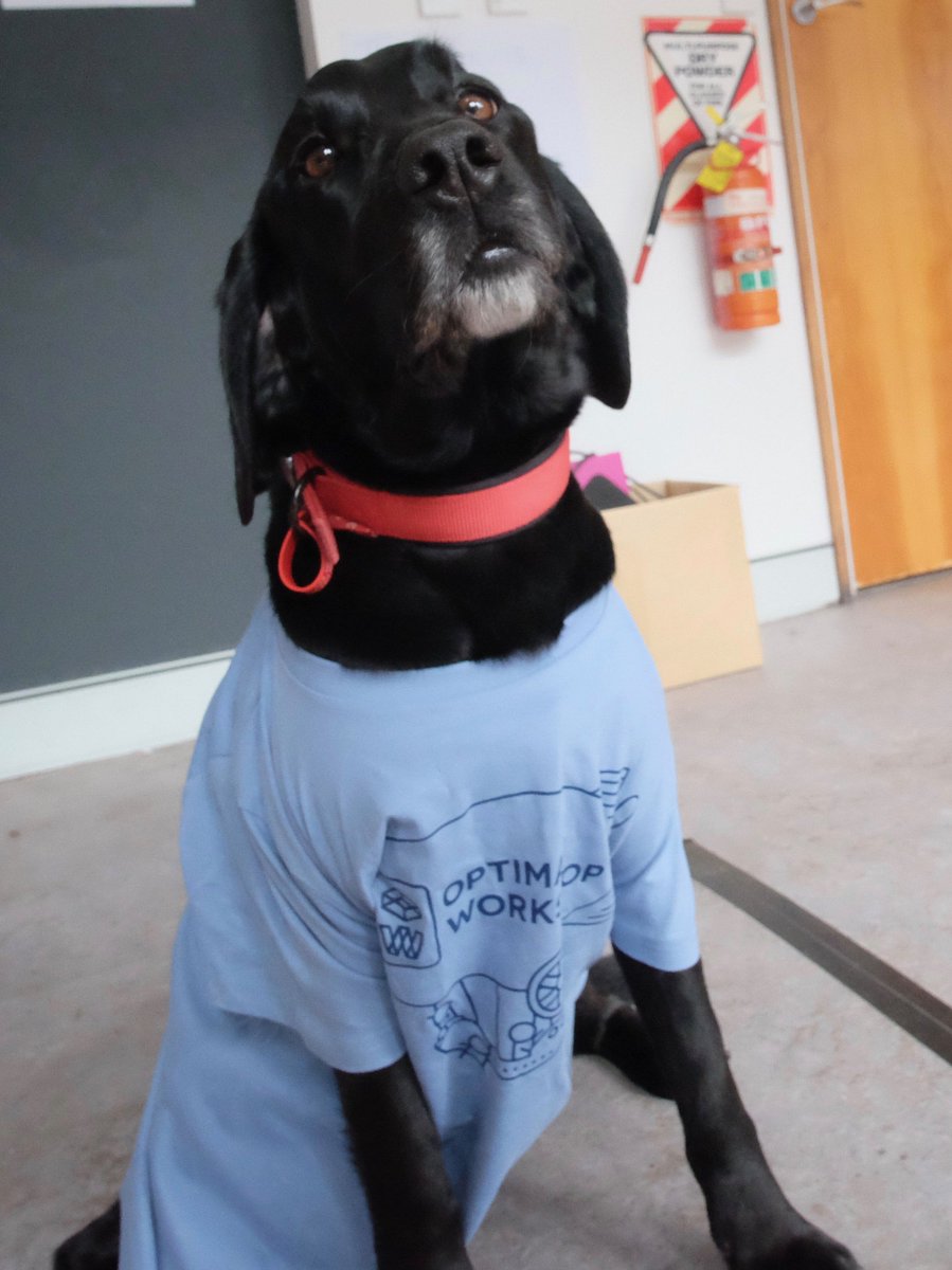 Chief Security and Vice President of Sandwich Tasting, Bowie doing what he does best, repping the new OW tee like a pro #officedog #swag