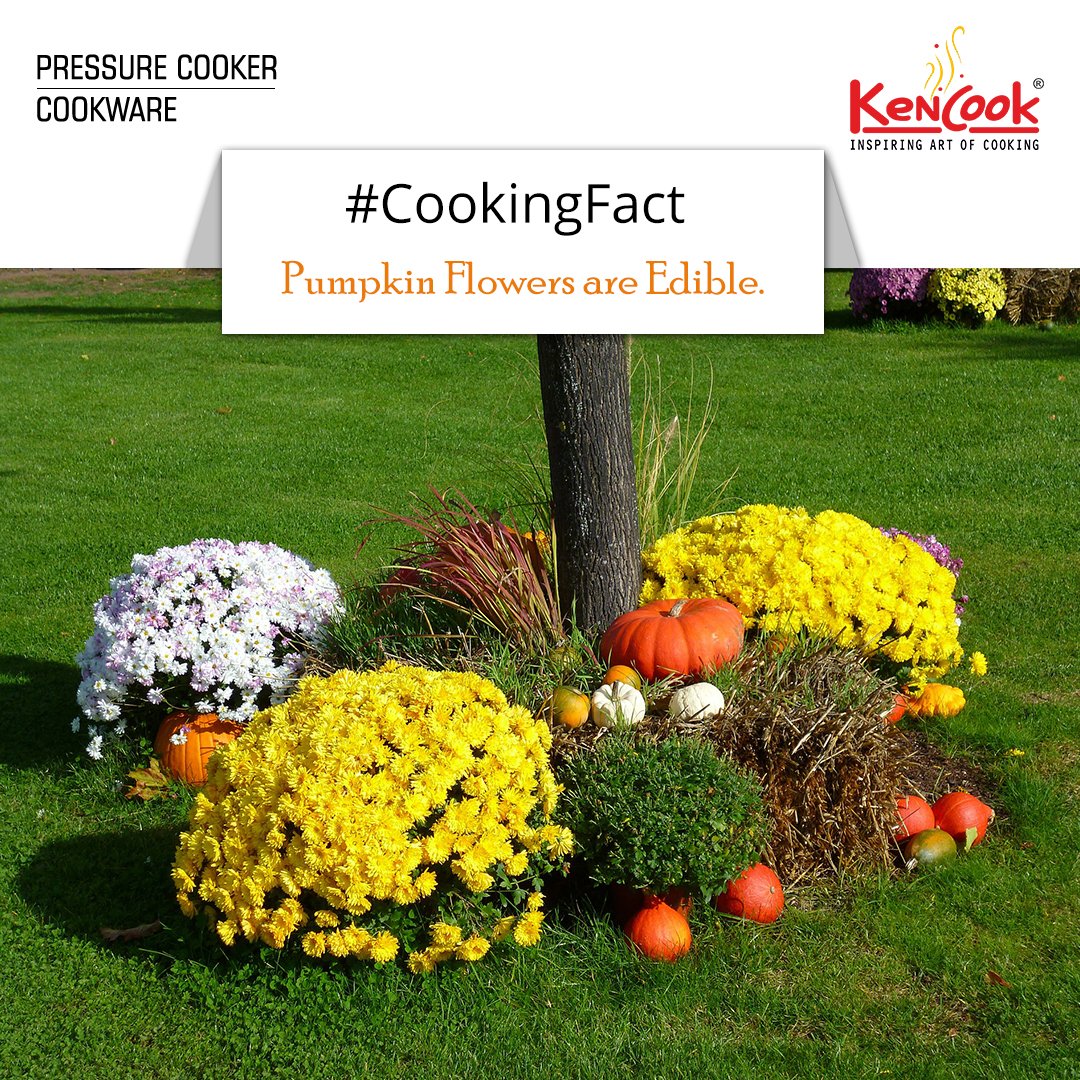 kencook_'s tweet photo. #CookingFact: #Pumpkinflowers are very rich in #nutrition. You can eat raw in #salads or boil with #veggies in #soups.
#ThursdayTip #Kencook https://t.co/foWGqZQ3q1