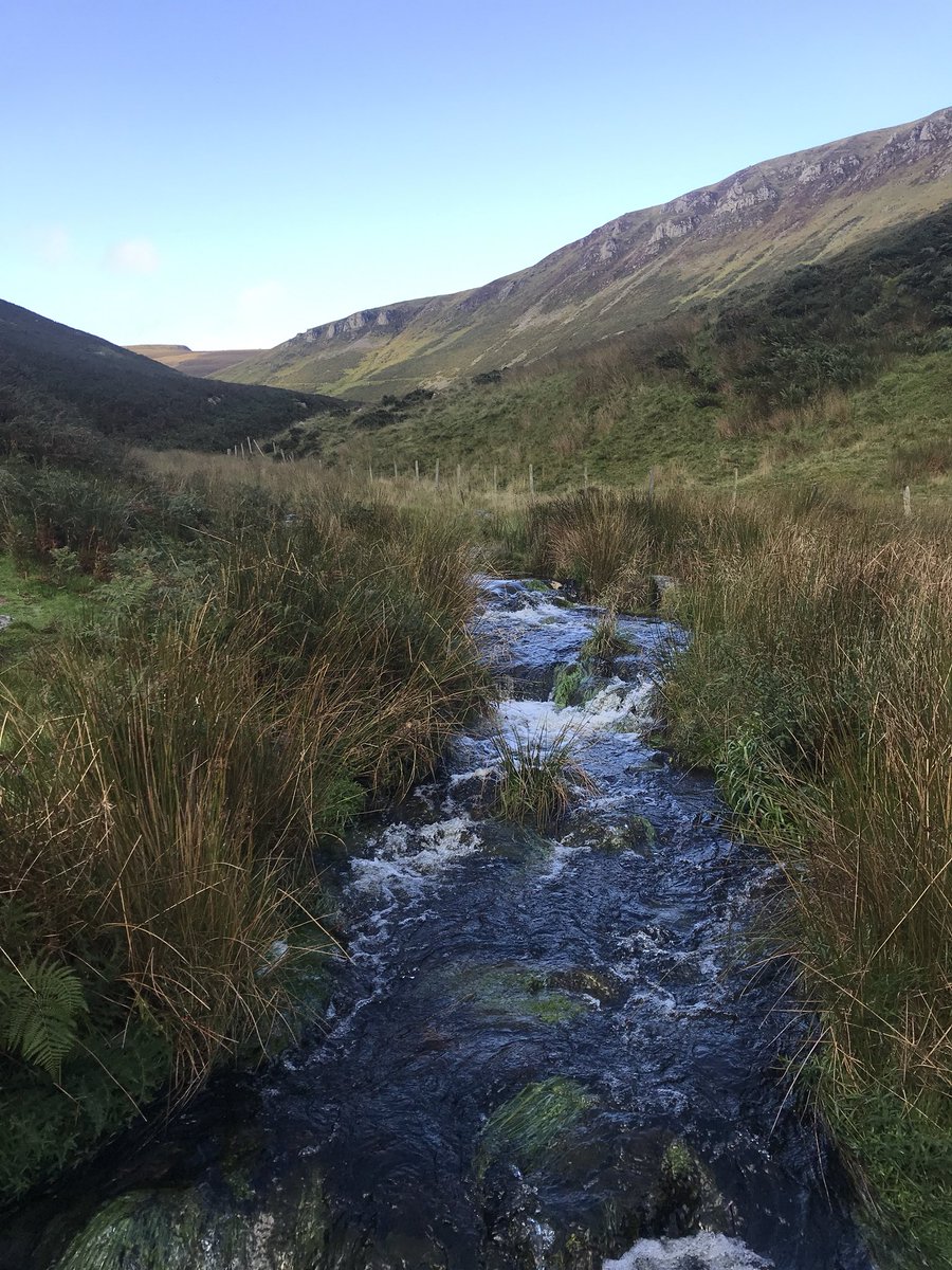 David Boothby tweet media