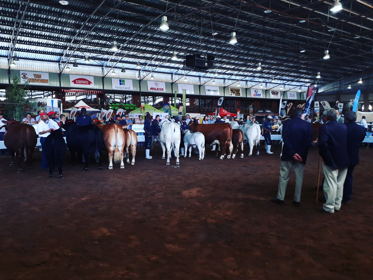 Veeplaas1's tweet photo. Die dames is in die ring vir #HinterlandInterras. Die wenner word vanaand by die #ALFAdinee aangekondig. #ALFA2017 https://t.co/UJ3oBzMm52