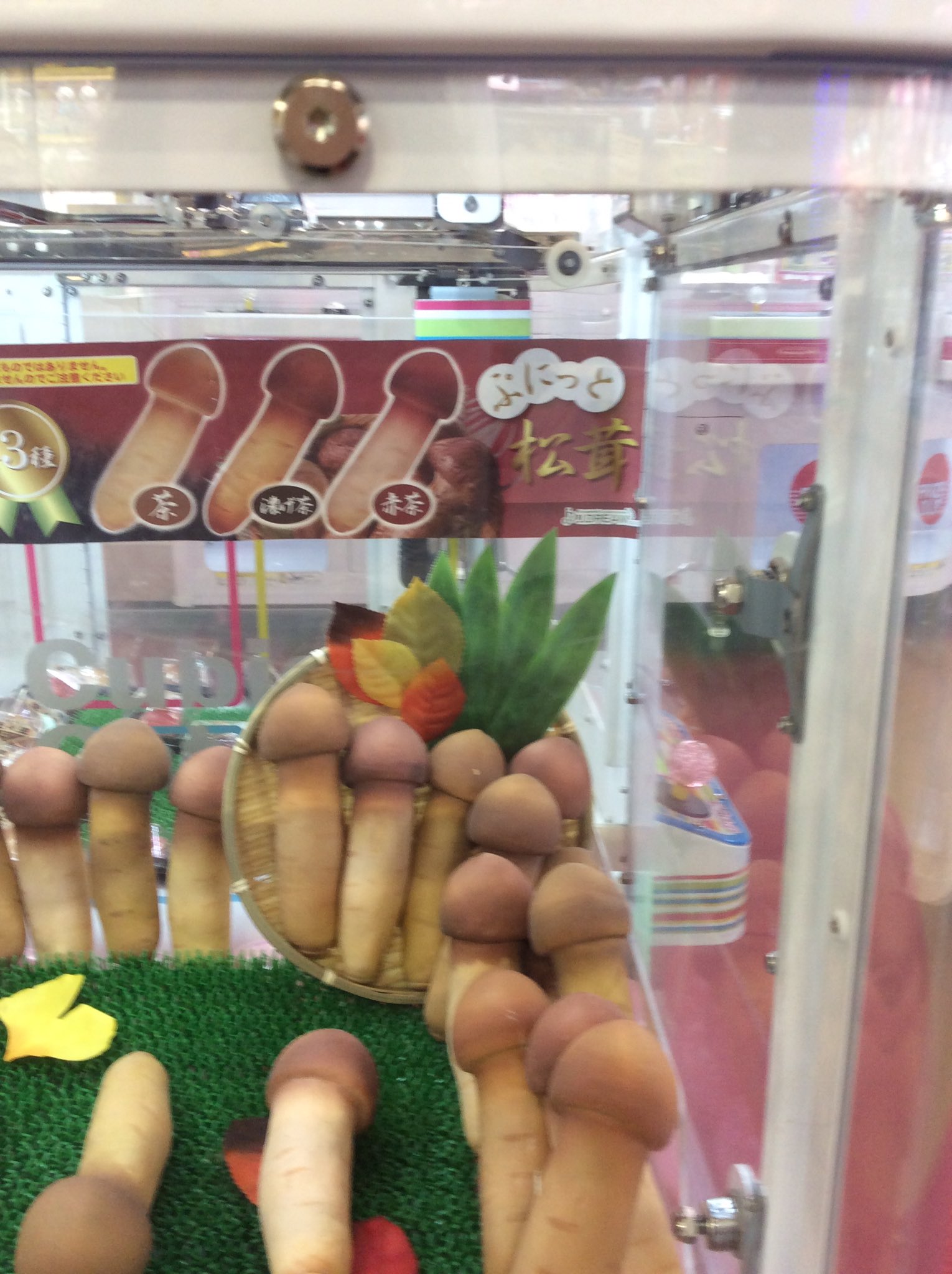 驚きの値段】 松茸 スクイーズ ecousarecycling.com
