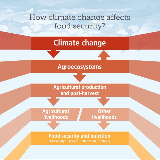 FAO Climate Change & Biodiversity (@faoclimate) on Twitter photo RT <a href="/FAOKnowledge/">FAO Knowledge</a>: How does #climatechange affect food security? 👉 bit.ly/2jqahZd #zerohunger RT <a href="/FAOKnowledge/">FAO Knowledge</a>: How does #climatechange affect food security? 👉 bit.ly/2jqahZd #zerohunger