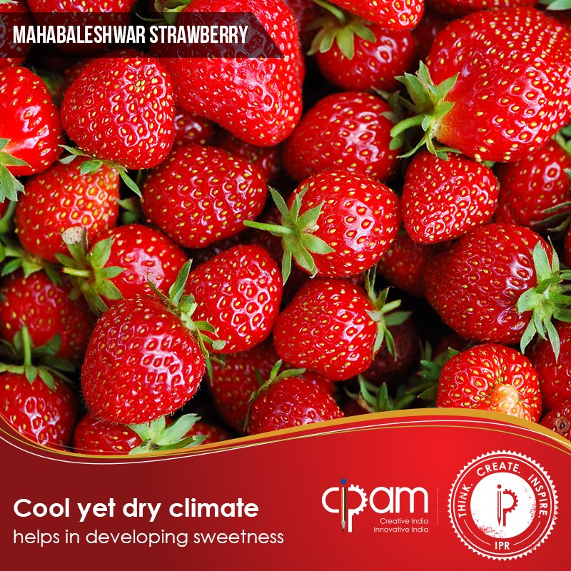 Strawberry spring. Клубника необычная. Клубника на белом фоне. Spring fruit. Корейская клубника.