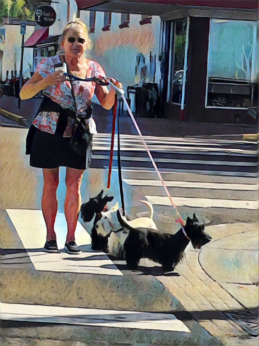 LindaKissam's tweet image. The joys of walking with friends #onehourwalk