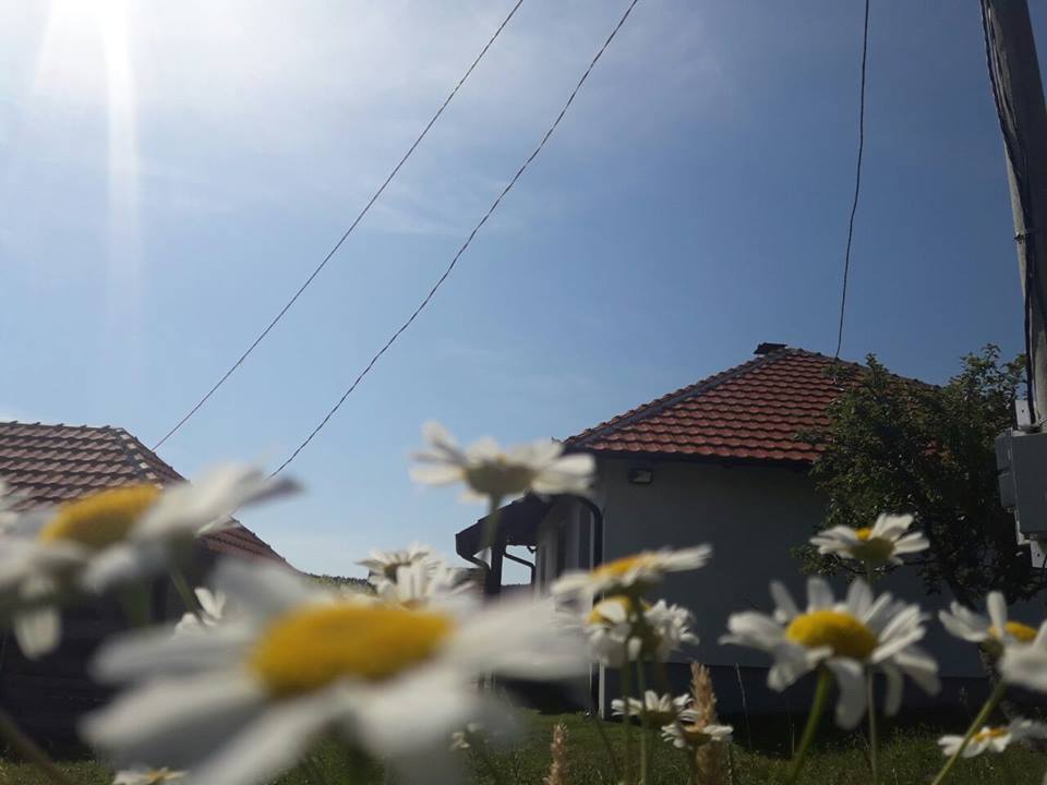 GlasZapadneSRB's tweet photo. Danas sunčano i toplo, do 32 stepena 
#vreme #suncano #toplo
https://t.co/n8uvfDYLD8 https://t.co/9OZEcbze9E