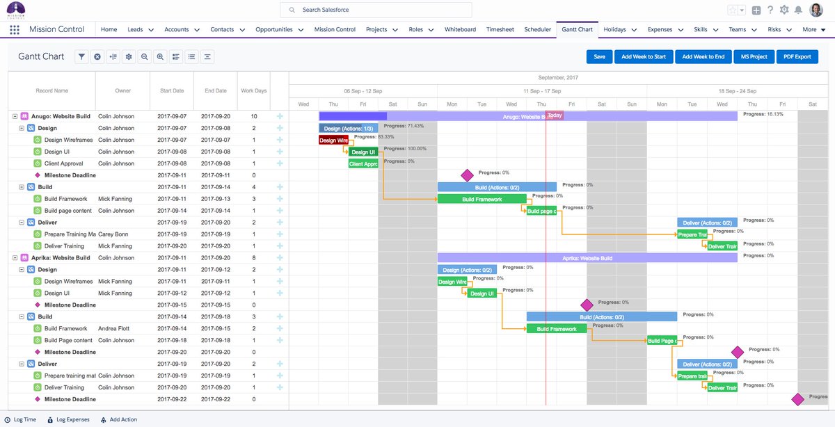 Salesforce Gantt Chart