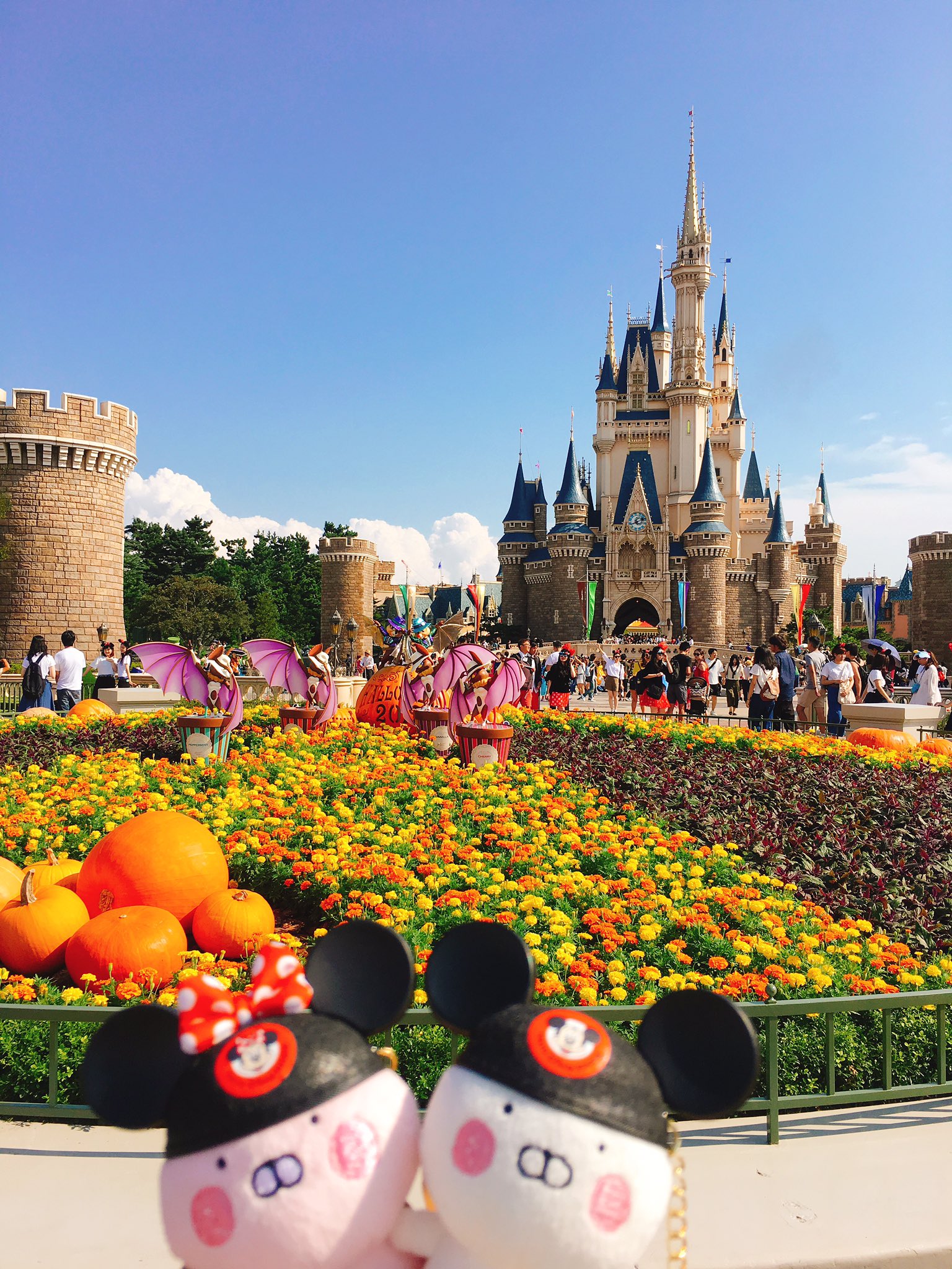 ちゃぽ ディズニーなう٩ W ۶さっそくミキミニのかぶりものget 天気良くて嬉しいけど 暑すぎー ディズニーハロウィーン ディズニー Dハロ うさまる うさまらー T Co Abjpolg8cv Twitter