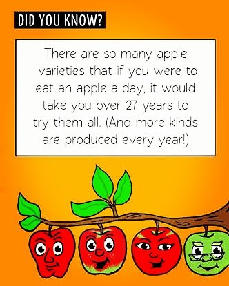 BoonsBasket's tweet photo. Did you know? 🔎 🤔 👨👉👴

Place your orders at https://t.co/qZha68mZLO #fitness #eatFruits #apple #fruits #trending #BoonsBasket #Pune #India https://t.co/3xkAvVsXDh