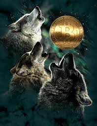 Crypto Wolfpack tweet media