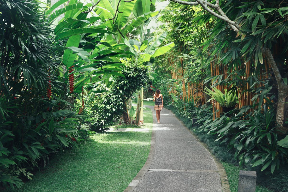 Komaneka Resorts Lush Garden That Will Complete Your Escape At Komaneka At Monkey Forest Credit Kristie Murray Komaneka Resort Hotel Holiday Ubud T Co 27pwhzhd0q