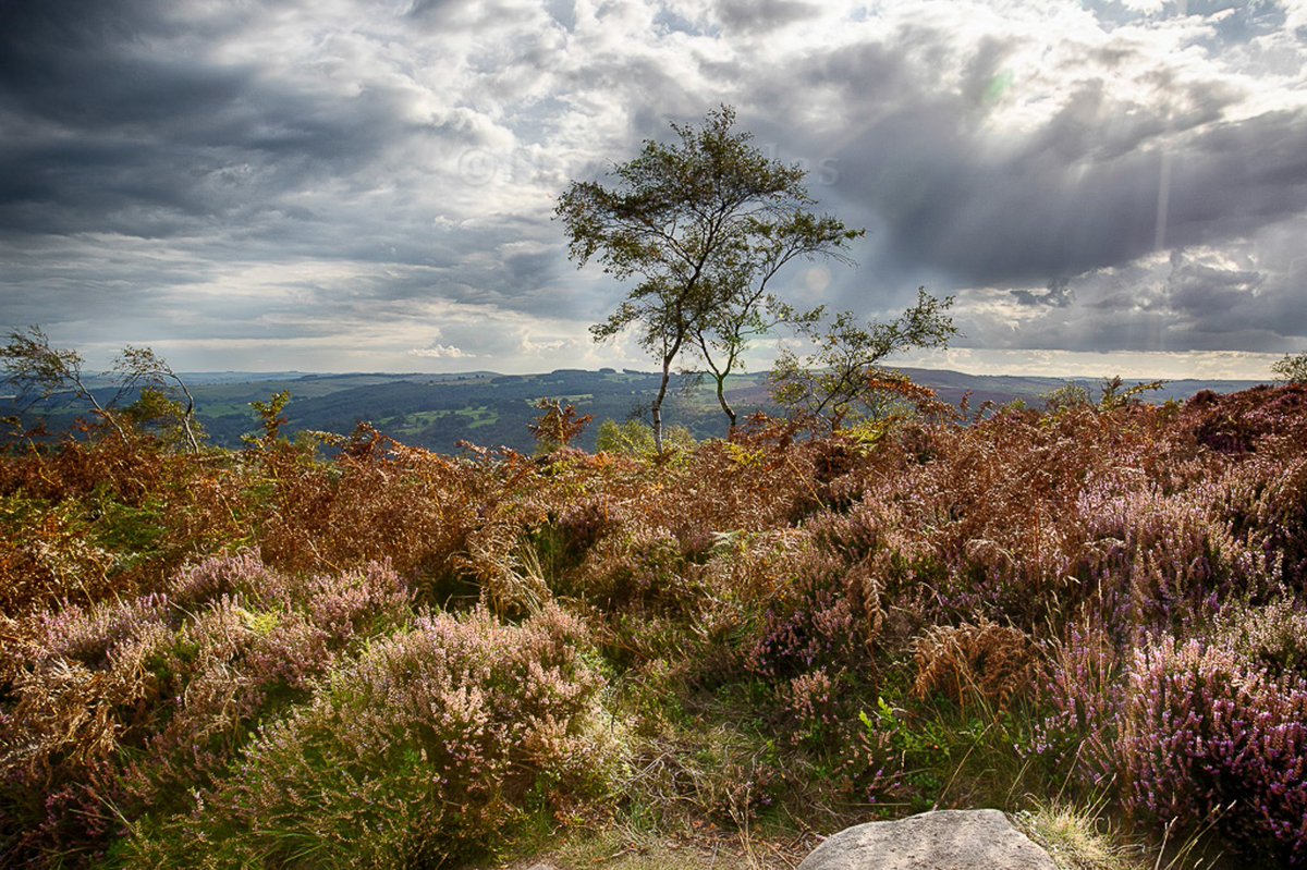 Retirement has benefits. 
Roaming &amp; enjoying sun &amp; peacefulness <a href="/peakdistrict/">Peak District National Park</a> <a href="/derbyshirelife/">Derbyshire Life</a> <a href="/itvweather/">ITV Weather</a> <a href="/derbyshiredales/">Derbyshire Dales DC</a> <a href="/OutdoorHourUK/">#OutdoorHour</a>
