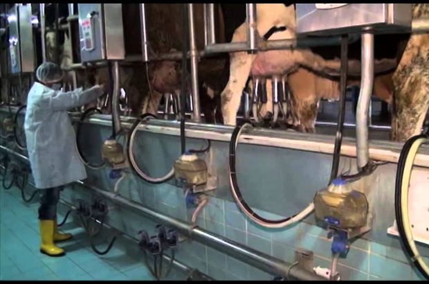 Süt Ve Süt Ürünlerinin Raf Fiyatlarındaki Artışın Sebebi Üretici Değil <a href="/Sutbirmerkez/">TSUMB</a> tarimpusulasi.com/hayvancilik/su…