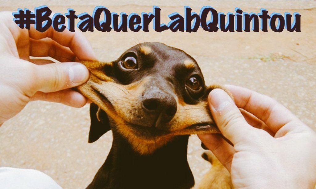 Bom dia Betas! Não deixe de pontuar, ative as notificações 🔔 no perfil @betaquerlab e vem com a gente, nós ajudamos você!
#Betaquerlab