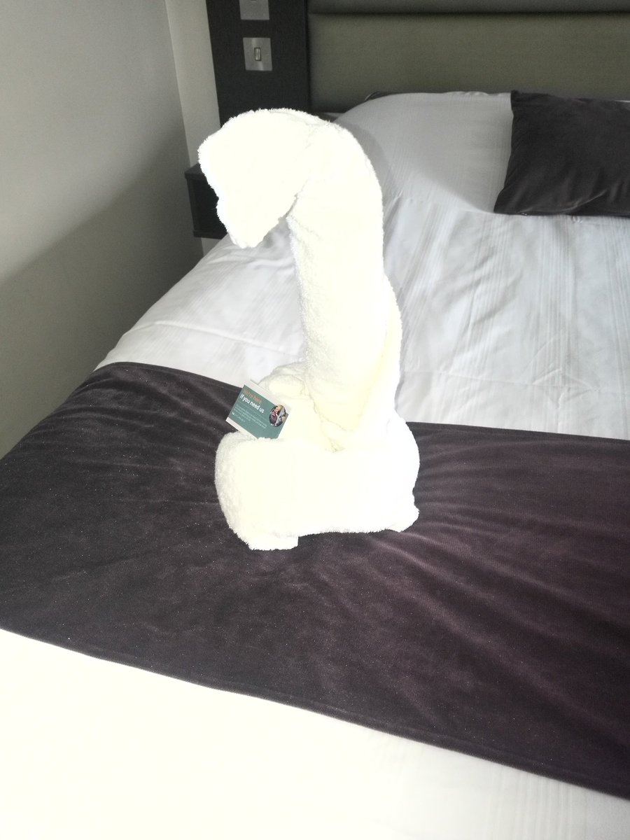 More animals from today, very proud of our team #teamchapelbar #housekeepingappreciationweek #no.1no1teamintheworld