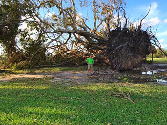 This is the tip of the iceberg here at the creek