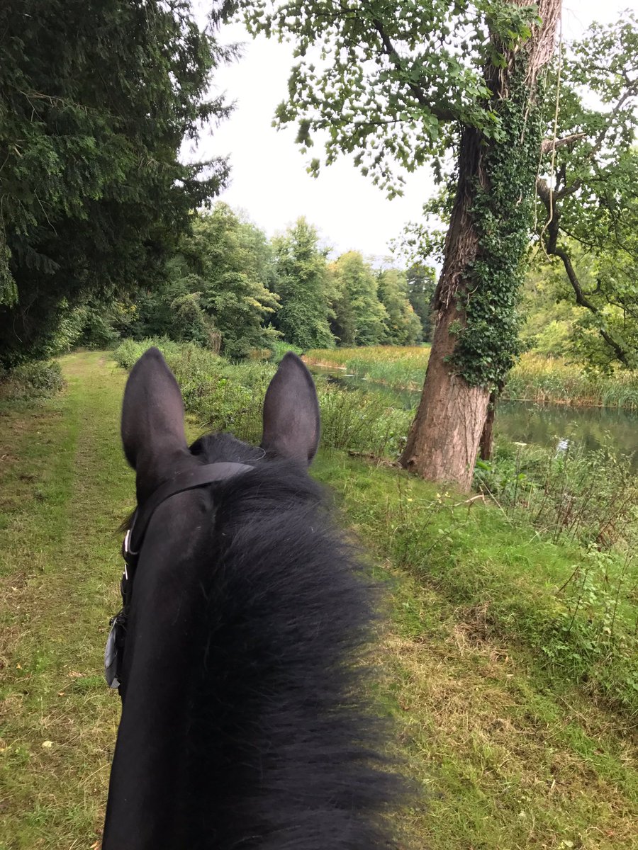 annie_makin's tweet photo. Can't be at #BEVA17 this year with #BCFTechnology - have a prior engagement at #Blenheim.... https://t.co/7CFmuJHBG5