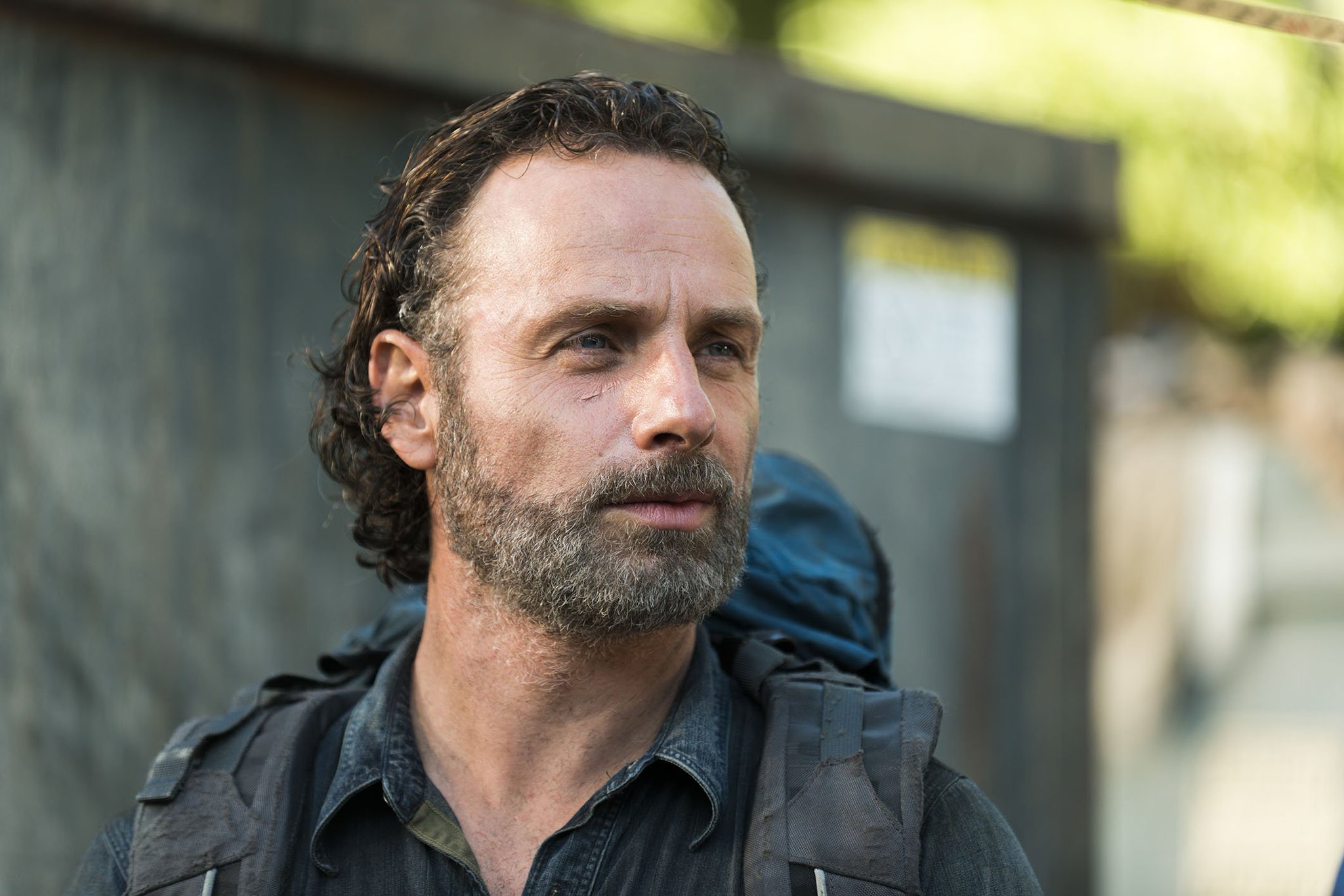 Happy Birthday Andrew Lincoln! 