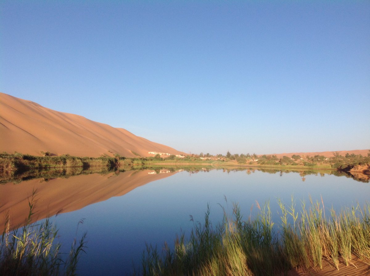 #ياالله يارازق الطير ... و رازق الحوت فى #ابحاره
على ليبيا #يعم__الخير ... ويرجع كل لأجئ #لداره
.
.
قبرعون ليبيا