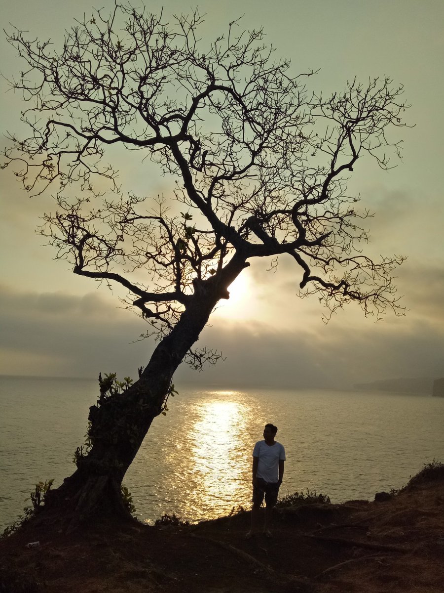 Filiphus Johan deMey tweet media