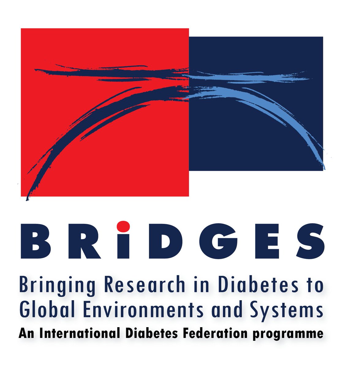 IntDiabetesFed's tweet photo. Implementation sites for the first round of IDF @LillyDiabetes #BRIDGES2 translational research programme announced. https://t.co/QCufntkaxU https://t.co/0PCjmwX1dQ