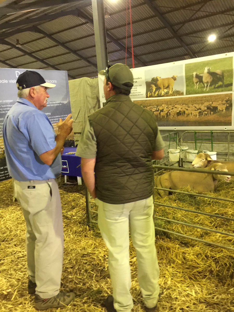 coachalexar's tweet photo. Day 2 and lots to see and do for the whole family! Come say hi #AgriMegaWeek2017 #agrimegaweek #Overberg https://t.co/aCUemoQZUf