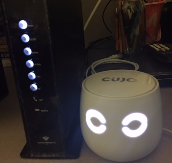My ultimate online security secret > @cujounited @bestbuy sumo.ly/FN9K  #ad #CUJO