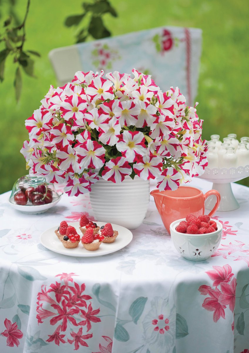 Florensis tweet media