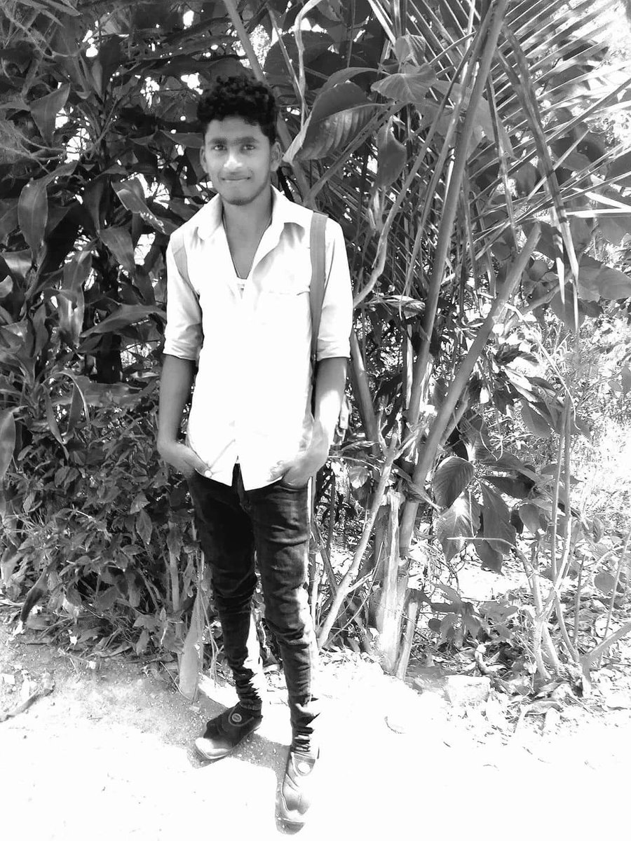 stenly rock tweet media