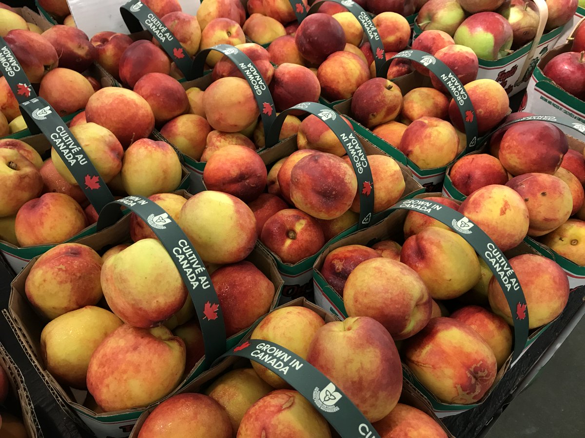 HamOntMarket's tweet photo. Good Morning #HamOnt 
We're open today until 6pm 😀 https://t.co/f87BFdI9q7