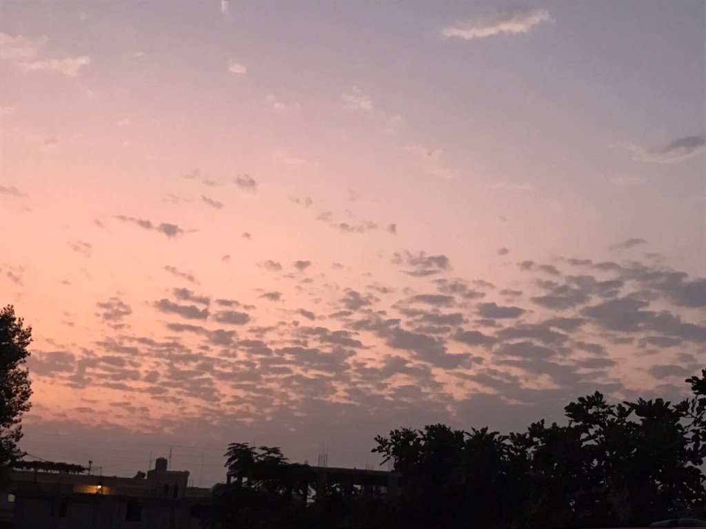 Bassem Bakri (@bakri_bassem) on Twitter photo 